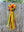 Pumpkin, brown and yellow