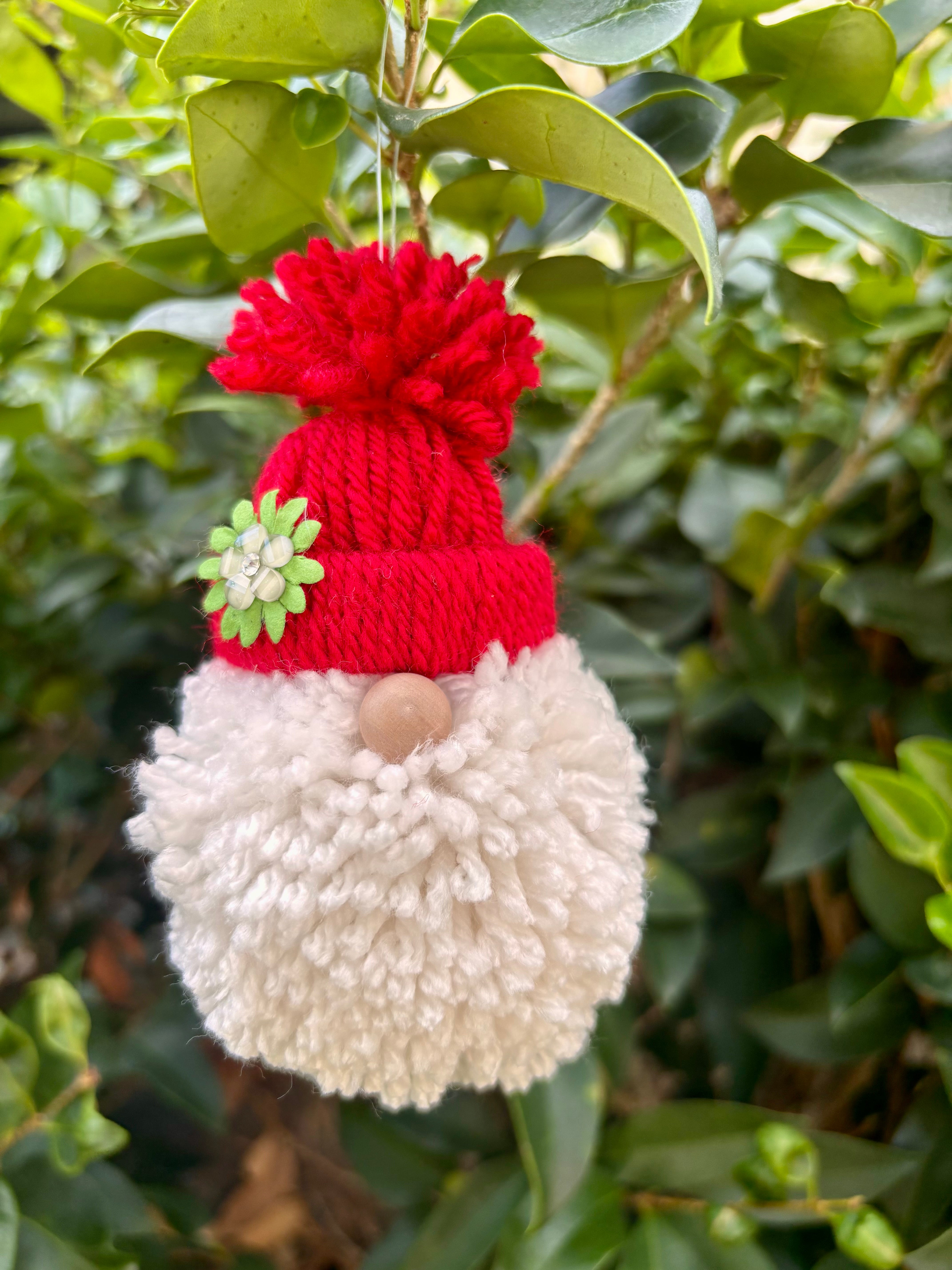 Cute Little Christmas Gnomes